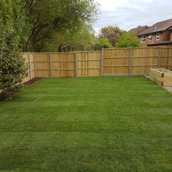 artificial grass in garden