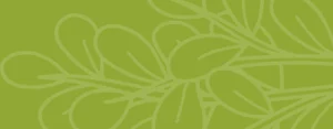 Leaves Drawing